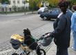 Foto-Wettbewerb "Deutschland ohne Klischee"